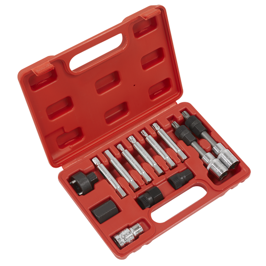Sealey Alternator Freewheel Removal Set With Combined Socket Bits 13 Piece SX401
