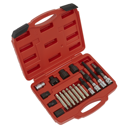 Sealey Alternator Freewheel Pulley Removal Set In Storage Case 18 Pieces SX402