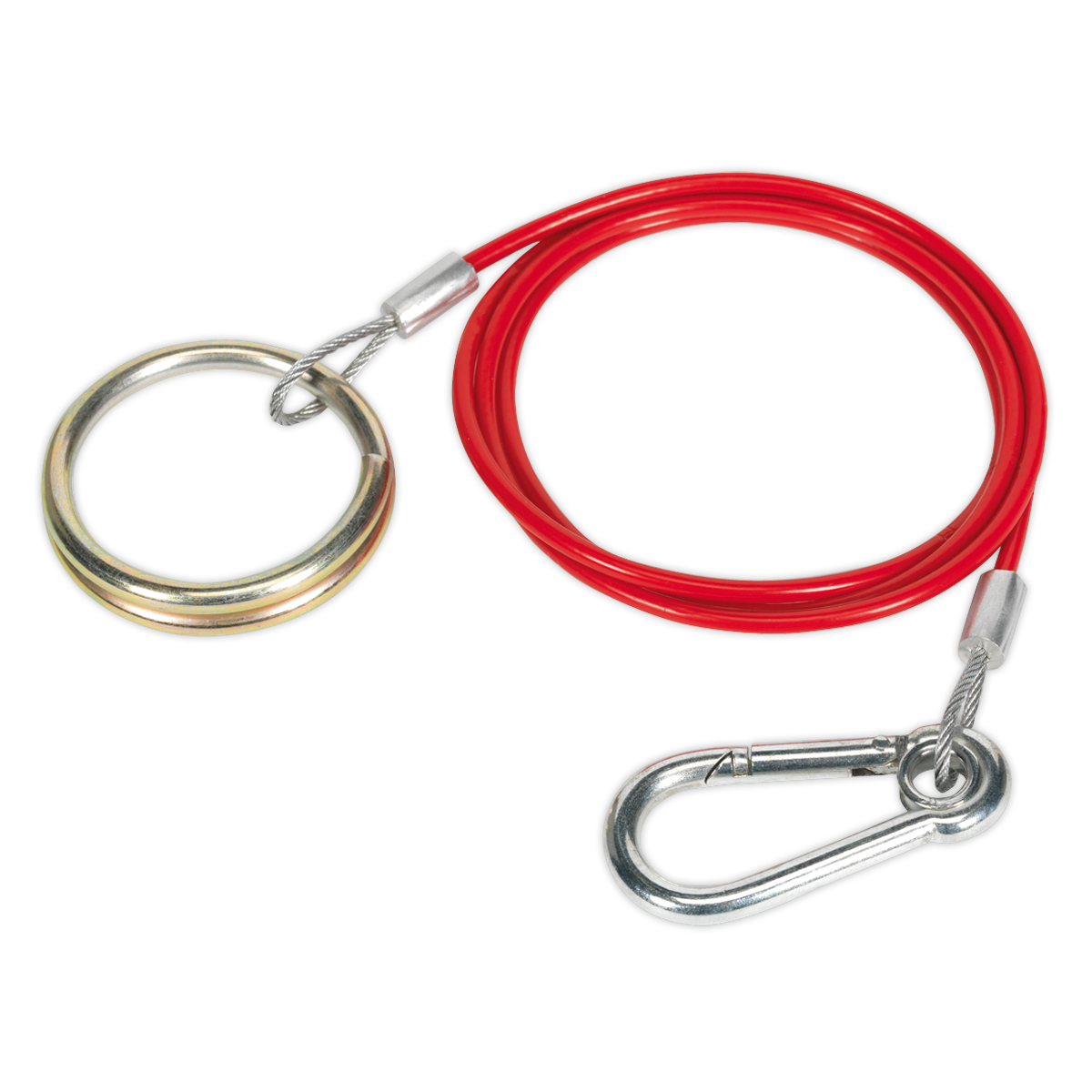 Sealey Breakaway Cable With Heavy Duty Split Ring & Securing Clip 1m x 2mm TB46