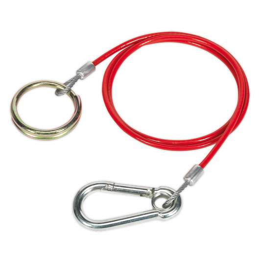 Sealey Breakaway Cable With Heavy Duty Split Ring & Securing Clip 1m x 3mm TB47