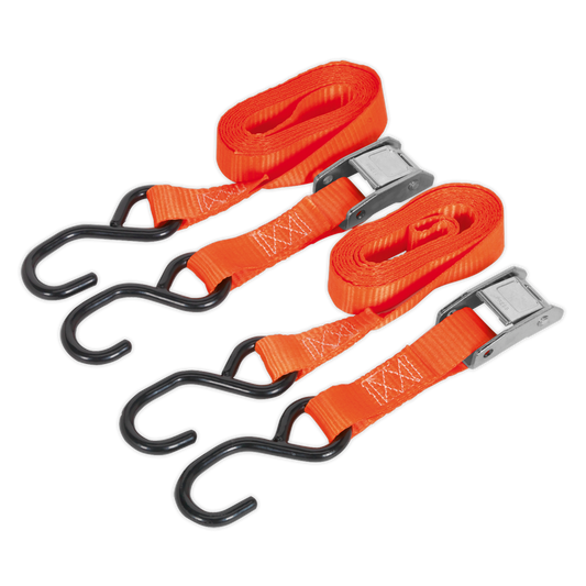 Sealey Cam Buckle Tie Down 25mm x 2.5m Polyester Webbing 500kg TD05025CS