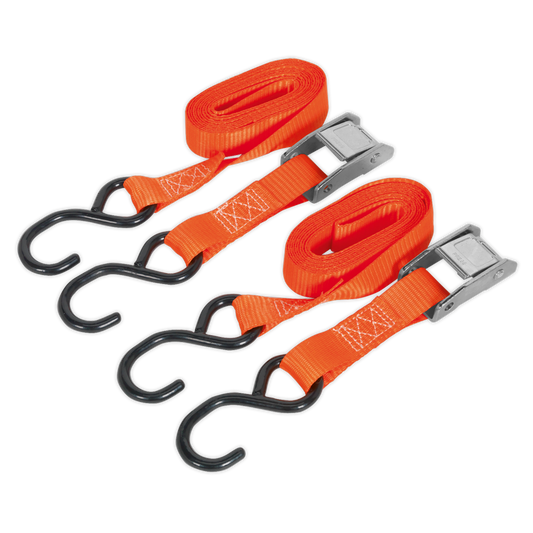 Sealey Cam Buckle Tie Down 25mm x 2.5m Polyester Webbing 520kg TD2525CS