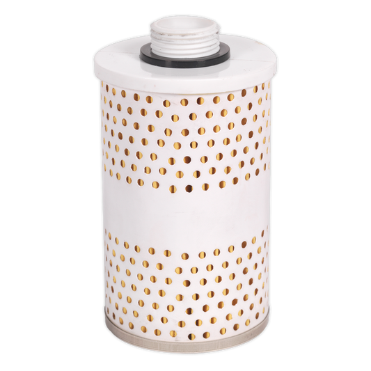 Sealey Filter Cleaning Replacement For TPF01 Transfer Pump - White TPF01.F