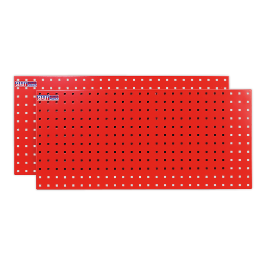 Sealey PerfoTool Storage Panel For Hand & Power Tools 1000 x 500mm 2 Pieces TTS1