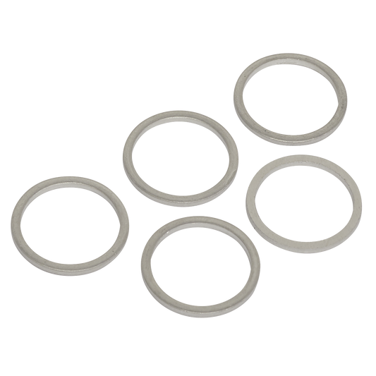 Sealey M17 Sump Plug Washer Refill For VS660 Drain Plug Thread 5 Pieces VS17SPW