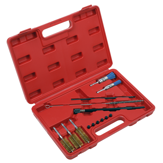 Sealey Cleaning Brush Set Injector Bore With Extension Bar 14 Pieces VS1900