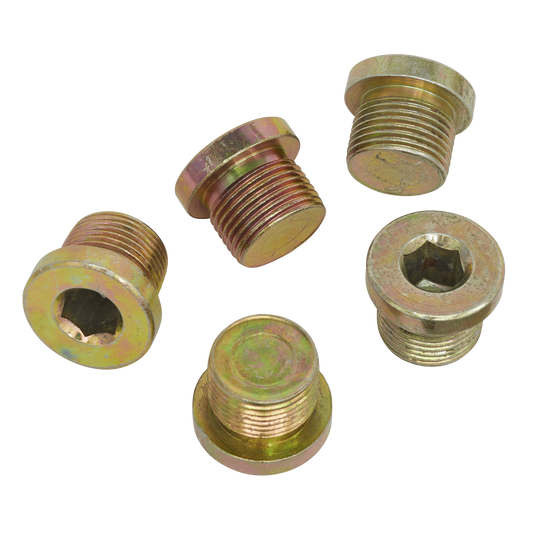 Sealey M20 Replacement Sump Plug Refill For Model VS660 Pack of 5 Pieces VS20SP