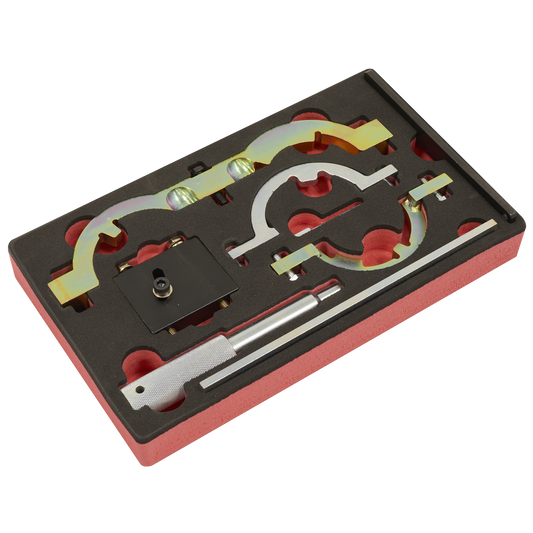 Sealey Fits GM 1.0 1.2 1.4 1.6 Chain Drive Petrol Engine Timing Tool Kit VS5235