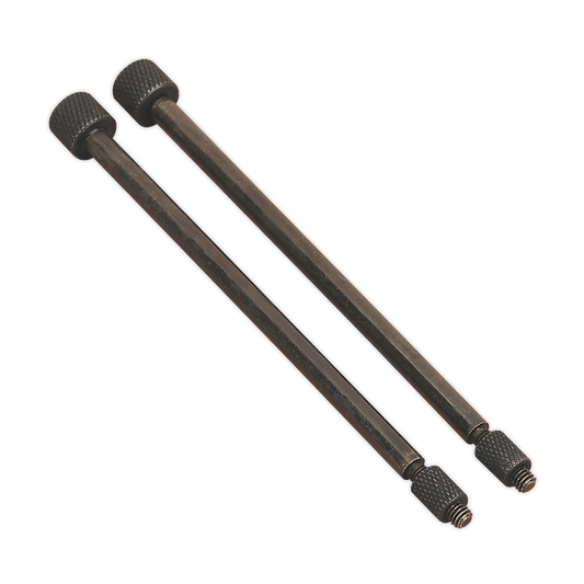 Sealey Door Hinge Removal Pins For VS803 Ø3.0 x 110mm Pack of 2 Pieces VS803/01