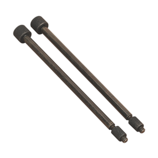 Sealey Door Hinge Removal Pins For VS803 Ø5.5 x 110mm Pack of 2 Pieces VS803/04