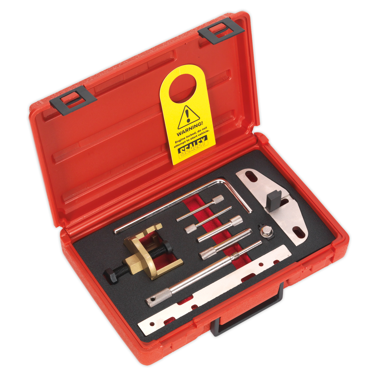 Sealey Diesel Engine Setting Locking Kit Fits Ford PSA - Belt Drive VSE5941