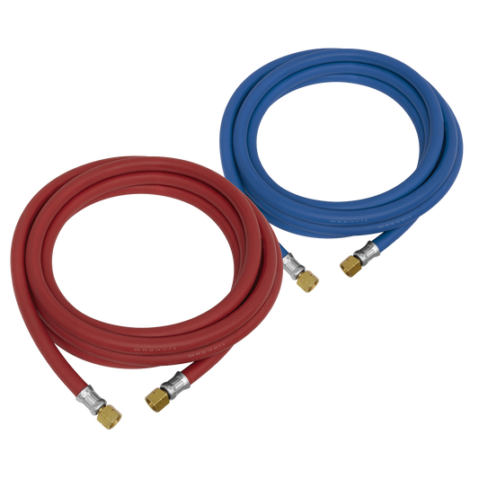 Sealey 5M Oxyacetylene Welding Hose Set With 3/8" BSP Swivel Unions WH05