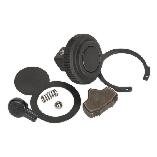 Sealey Repair Kit 72-Tooth For AK5781 Ratchet Wrench 3/8" Square Drive AK5781.RK