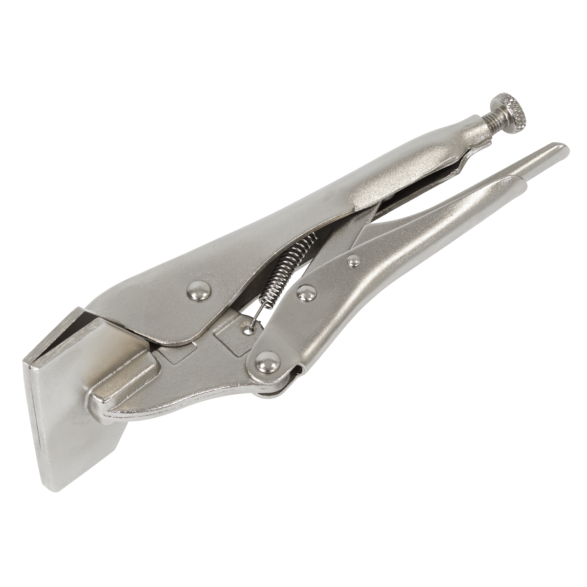 Sealey Sheet Metal Clamp 200mm 0-30mm Capacity For Daily Professional Use AK6829