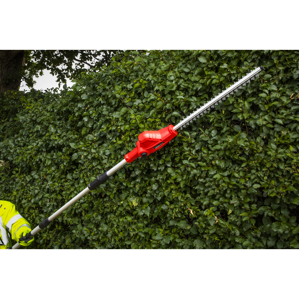 Sealey 20V SV20 Series Cordless Pole Hedge Trimmer - Body Only CP20VPHT