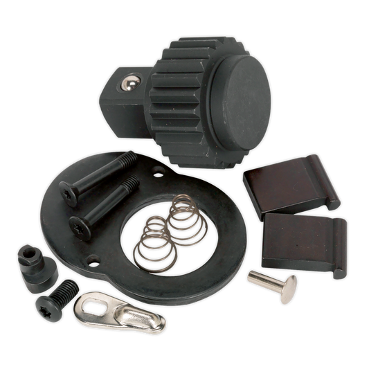 Sealey Repair Kit For AK669 Ratchet Wrench 3/4" Square Drive Tool AK669.RK