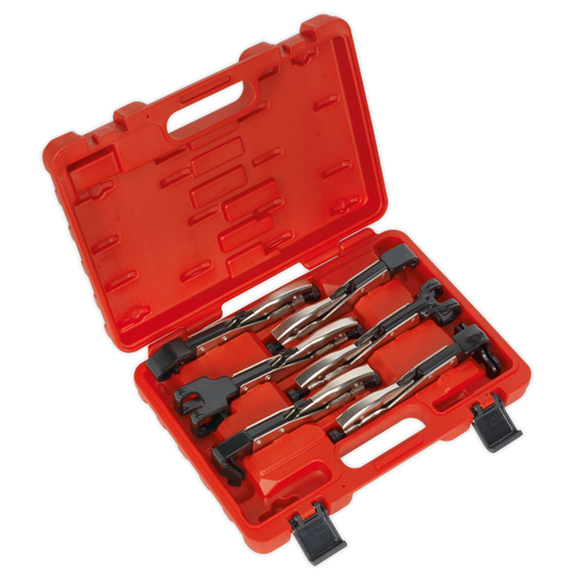 Sealey Axial Locking Grip Set With Push-Button Jaw Release 6 Pieces AK68403