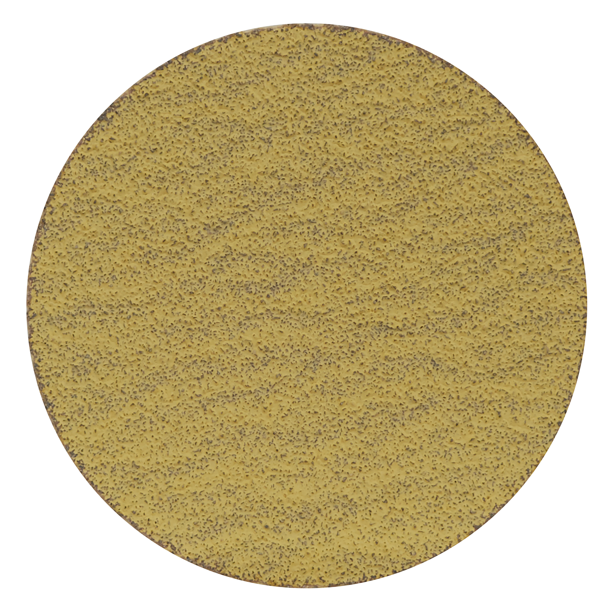 Sealey Hook-and-Loop Sanding Disc Ø50mm 80 Grit Pack Of 10 White SA701D80G