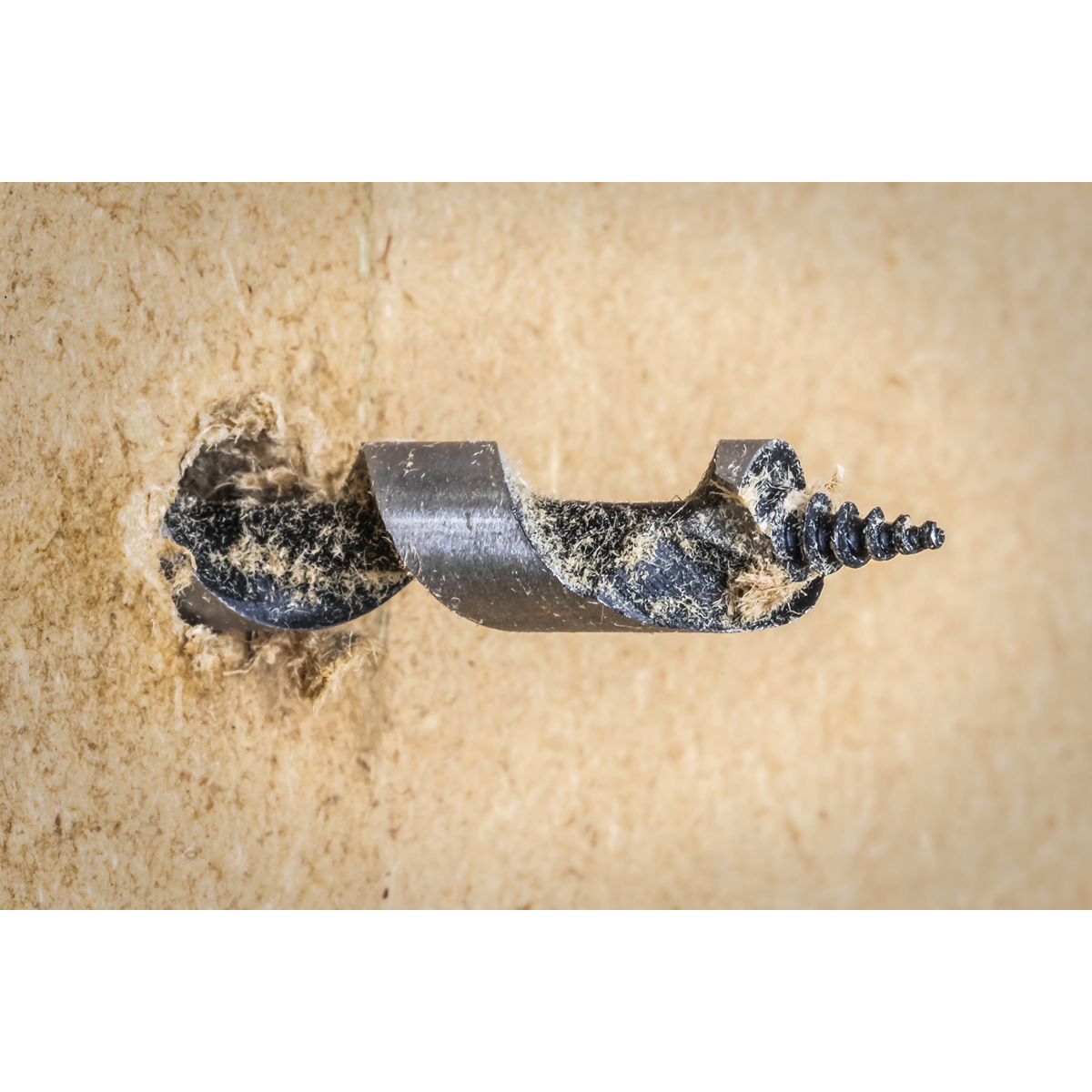Sealey SDS Plus Auger Wood Drill Fully Hardened 8 x 200mm - Silver SA8X200