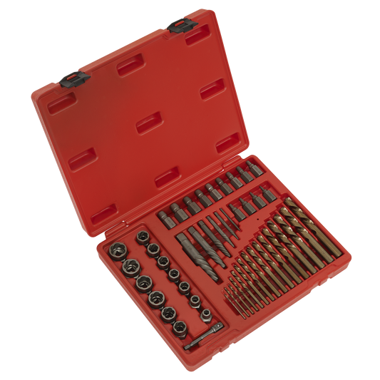Sealey 49 Pieces 3/8" Square Drive Master Extractor Set In Storage Case AK8149