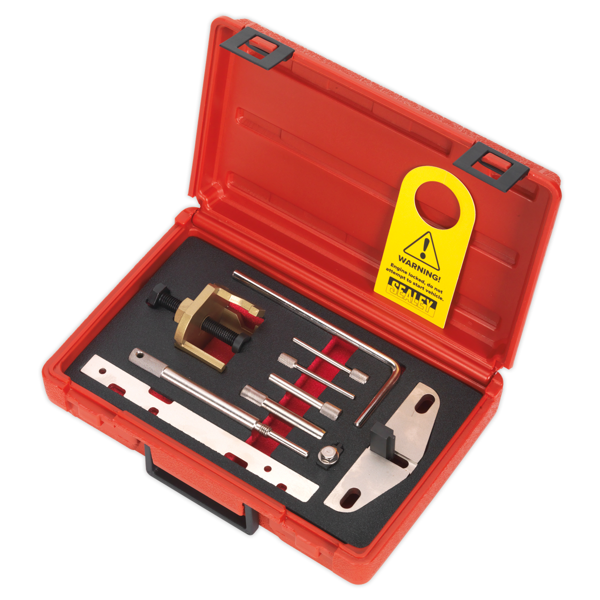 Sealey Diesel Engine Setting Locking Kit Fits Ford PSA - Belt Drive VSE5941