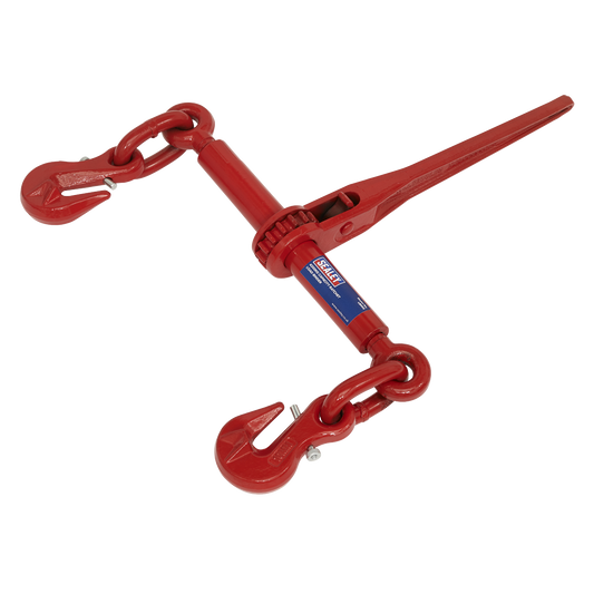 Sealey Ratchet Load Binder 9.5-12.7mm 4200kg For Clamp Bind Anchor LB002