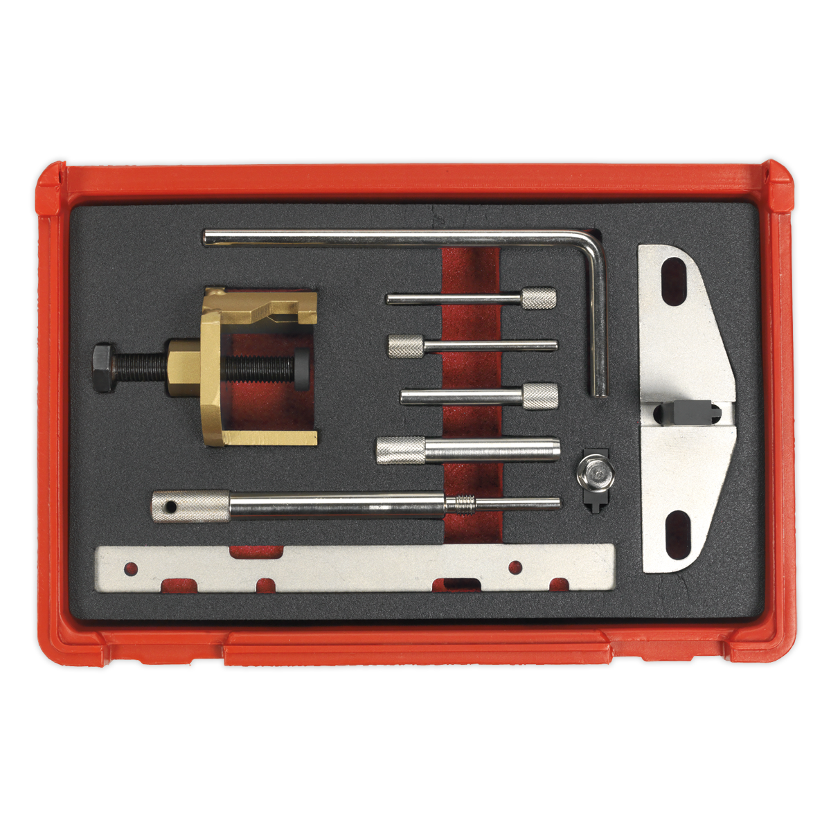 Sealey Diesel Engine Setting Locking Kit Fits Ford PSA - Belt Drive VSE5941