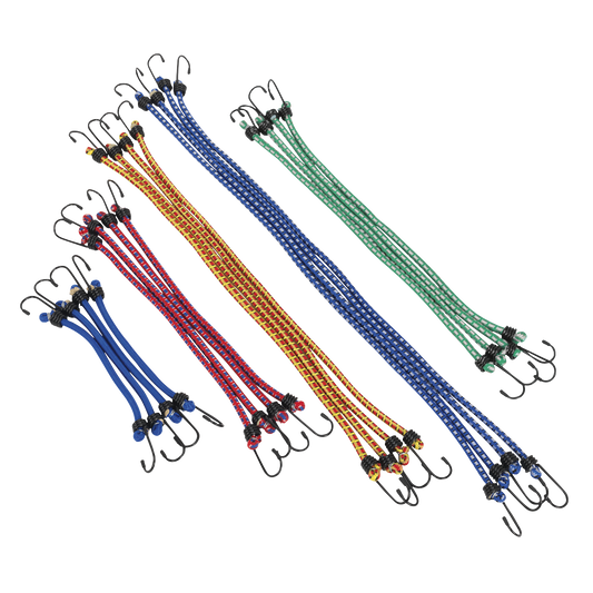 Sealey Elastic Cord Set For Workshop Garage Car Trailer Caravan 20 Pieces BCS20