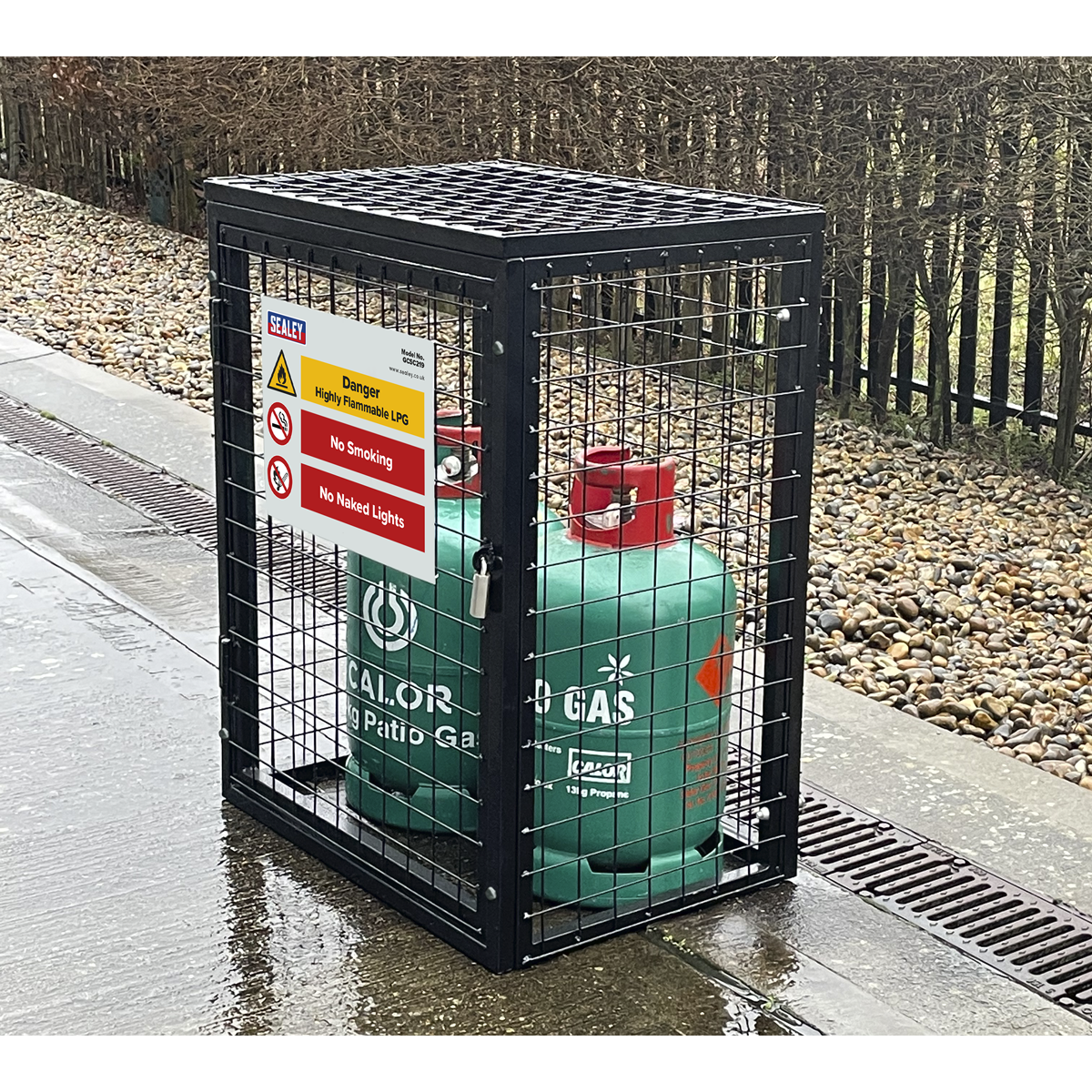Sealey Safety Cage Powder Coated Galvanised - 2 x 19kg Gas Cylinders GCSC219