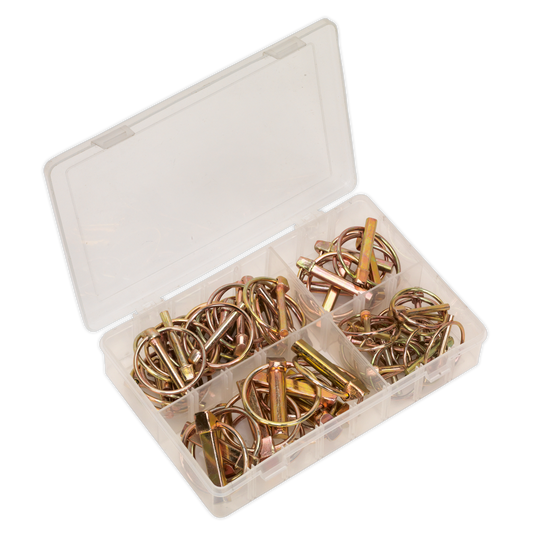 Sealey Linch Pin Assortment With Partitioned Box 50 Pieces Metric AB022LP