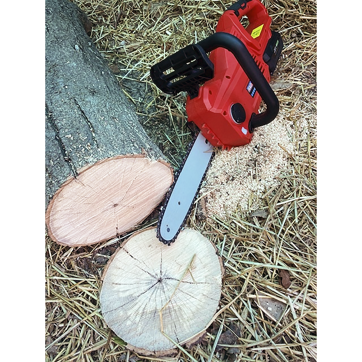 Sealey 20V SV20 Series 25cm Cordless Chainsaw Kit - 2 Batteries CP20VCHSKIT