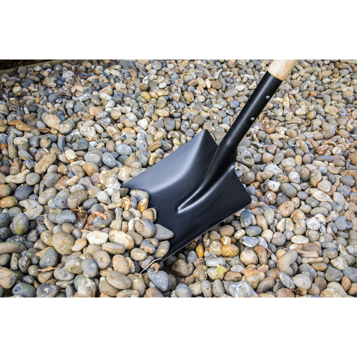 Sealey Pressed Carbon Steel Shovel With 710mm Hardwood Ash Handle SH710
