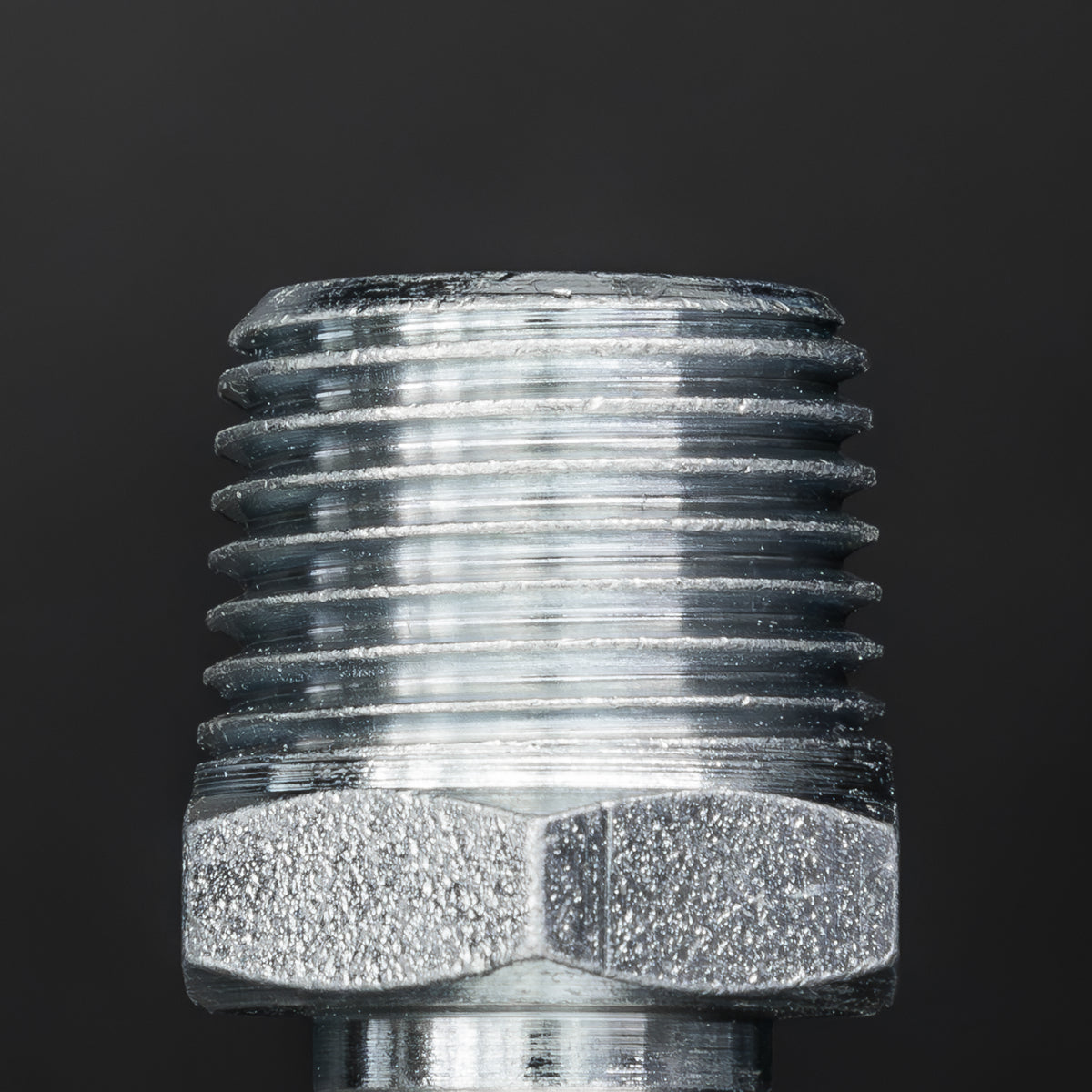 PCL Screwed Tailpiece Male 1/2" BSPT Ø1/2" Hose 2 Pieces Workshop & Agricultural