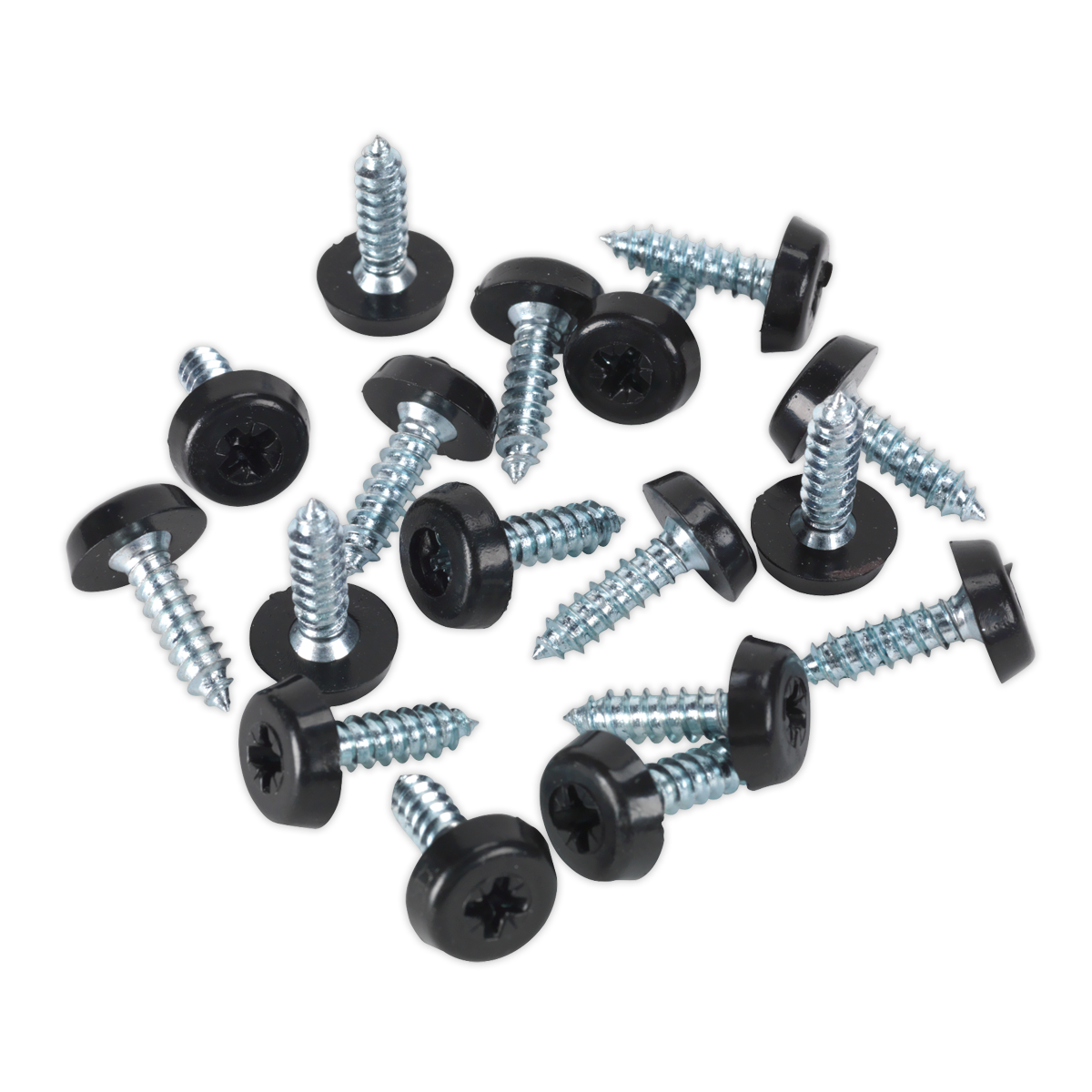 Sealey Clip Strip Deal - Mixed Numberplate Screws With 12 Clips Assorted NPSSET