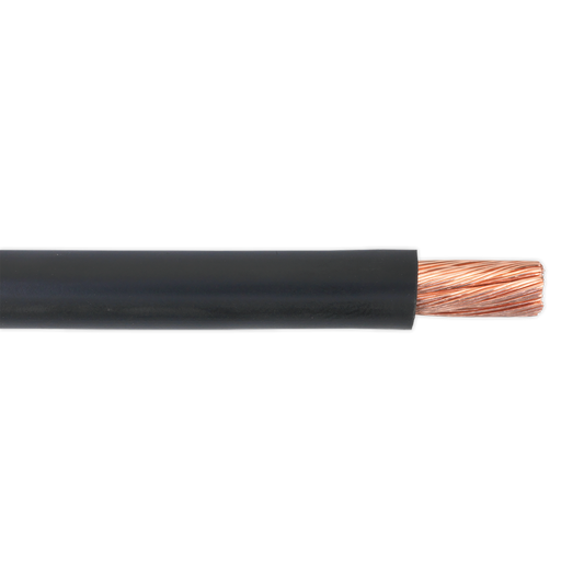 Sealey 10m 170A 196/0.40mm Insulated Automotive Starter Cable - Black AC25SQBK