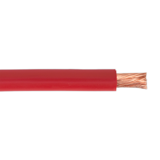 Sealey 10m 170A 196/0.40mm Insulated Automotive Starter Cable - Red AC25SQRE
