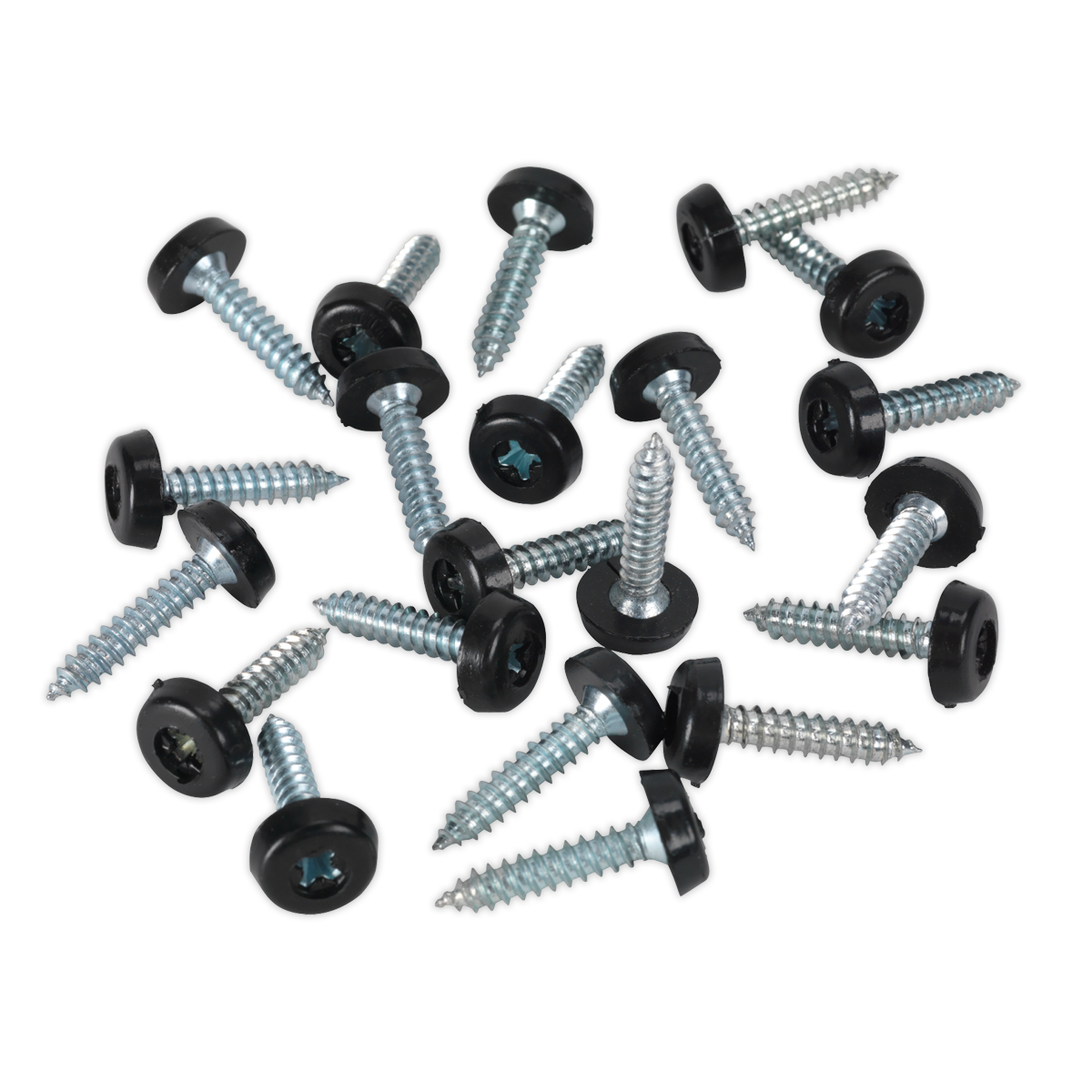 Sealey Clip Strip Deal - Mixed Numberplate Screws With 12 Clips Assorted NPSSET