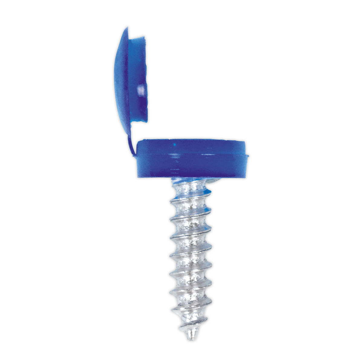 Sealey Clip Strip Deal - Mixed Numberplate Screws With 12 Clips Assorted NPSSET