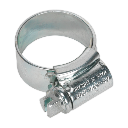 Sealey Hi Grip Hose Clips 30 Pieces Zinc Plated 14mm - 22mm 0.55" - 0.87" HCJ0