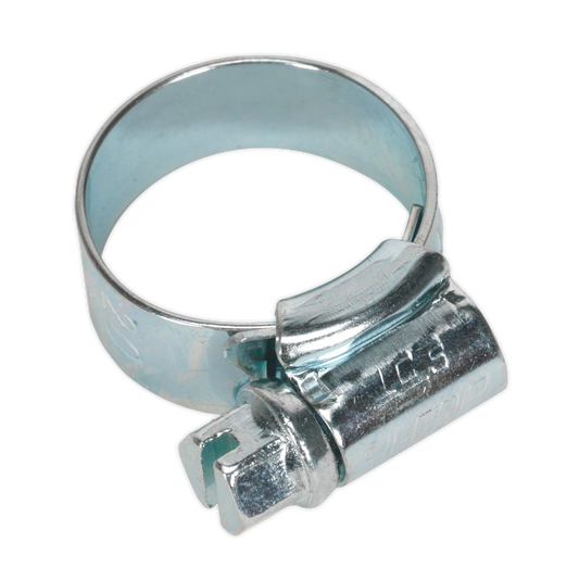 Sealey Hi Grip Hose Clips 30 Pieces Zinc Plated 13mm - 20mm 0.51" - 0.79" HCJ00