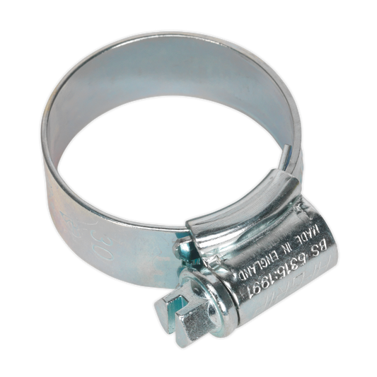 Sealey Hi Grip Hose Clips 20 Pieces Zinc Plated 22mm - 30mm 0.87" - 1.18" HCJ1A