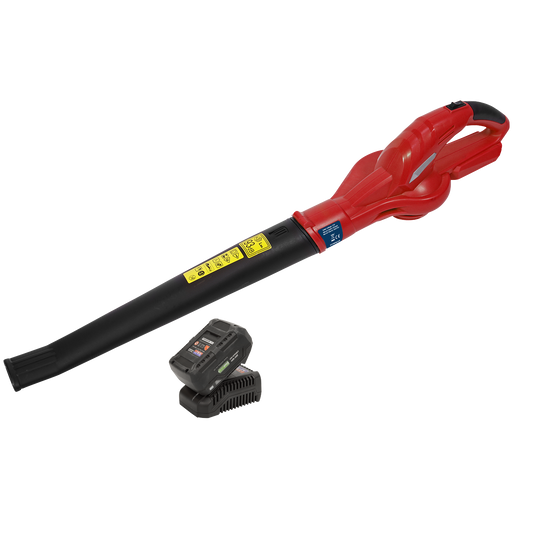 Sealey 20V Cordless Leaf Blower With 4Ah Battery & Charger Kit CB20VCOMBO4