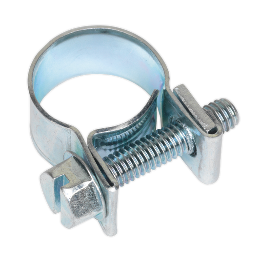 Sealey Mini Hose Clips 30 Pieces Zinc Plated 11mm - 13mm 0.43" - 0.51" MHC1113