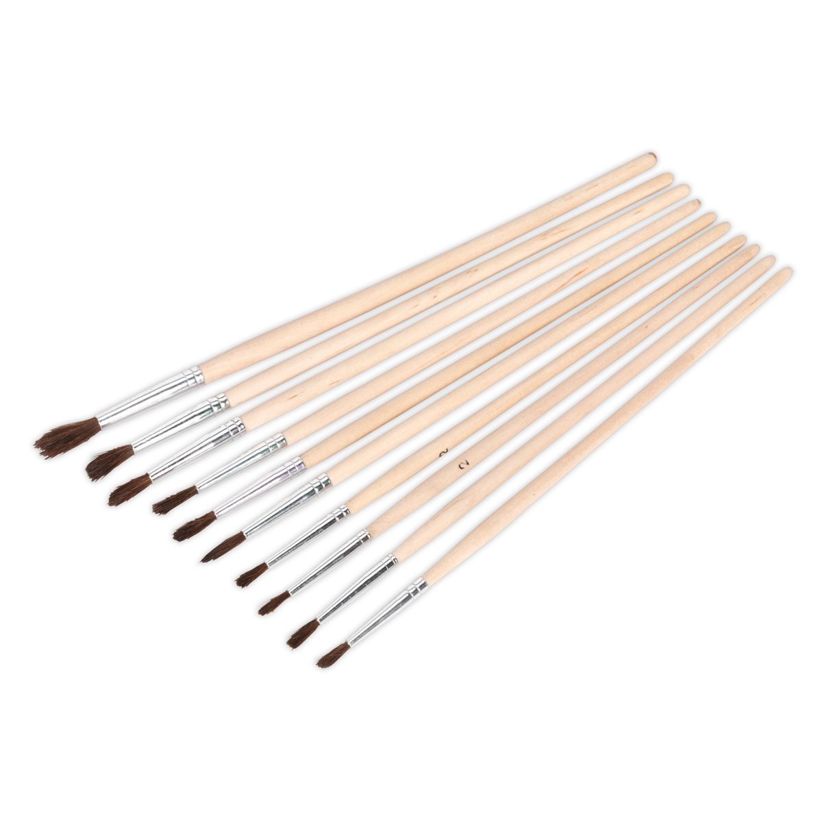 Sealey Touch-Up Paint Brush Assortment With Wooden Handle 10 Pieces PB2