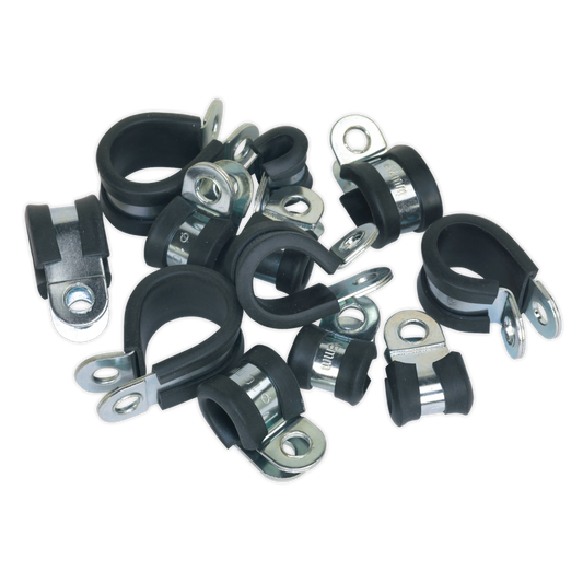Sealey P Clip Rubber Lined Assortment Zinc Plated Pack Of 60 Black/Silver PCJASS