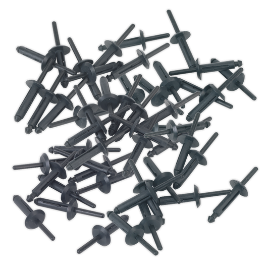 Sealey Plastic Rivets 50 Pieces 6.3mm x 25.2mm Fasteners Push Trim Clips PR002