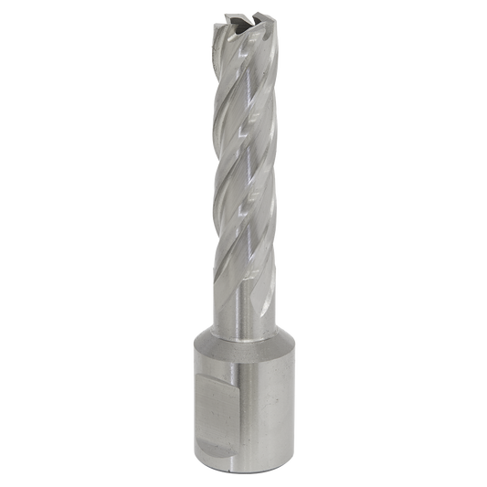Sealey Rotabor Cutter HSS M2 Steel 12mm Cut Depth 50mm Magnetic Drill RBHSS12L