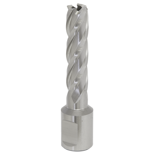 Sealey Rotabor Cutter HSS M2 Steel 13mm Cut Depth 50mm Magnetic Drill RBHSS13L