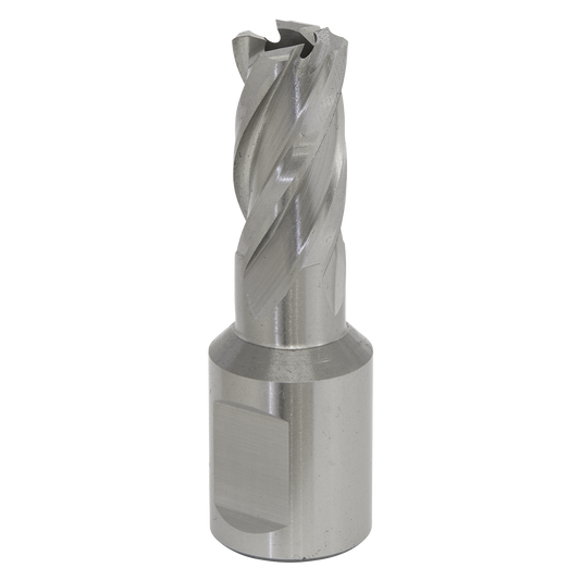 Sealey Rotabor Cutter HSS M2 Steel 13mm Cut Depth 25mm Magnetic Drill RBHSS13S