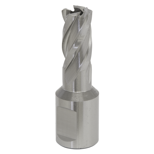Sealey Rotabor Cutter HSS M2 Steel 14mm Cut Depth 25mm Magnetic Drill RBHSS14S